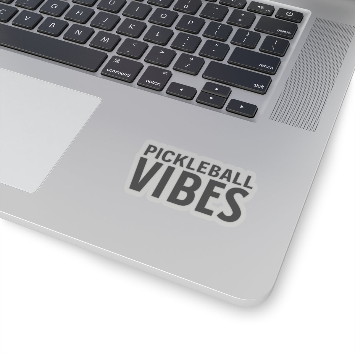 PICKLEBALL VIBES Sticker